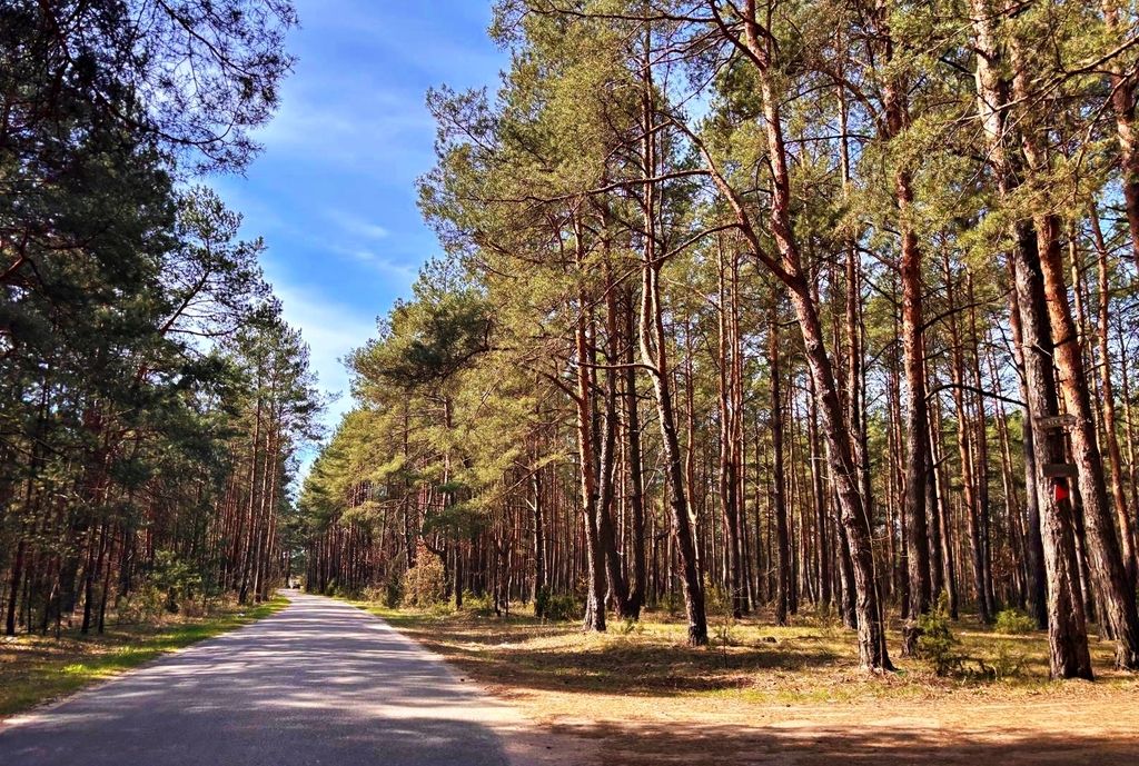 Działki w Kalinowie, Gmina Długosiodło — zdjęcie 1