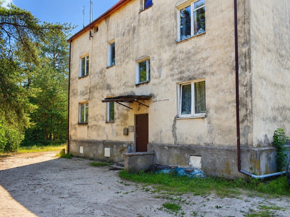 Własny las | 1869 m² zieleni | Międzyborów — zdjęcie 5