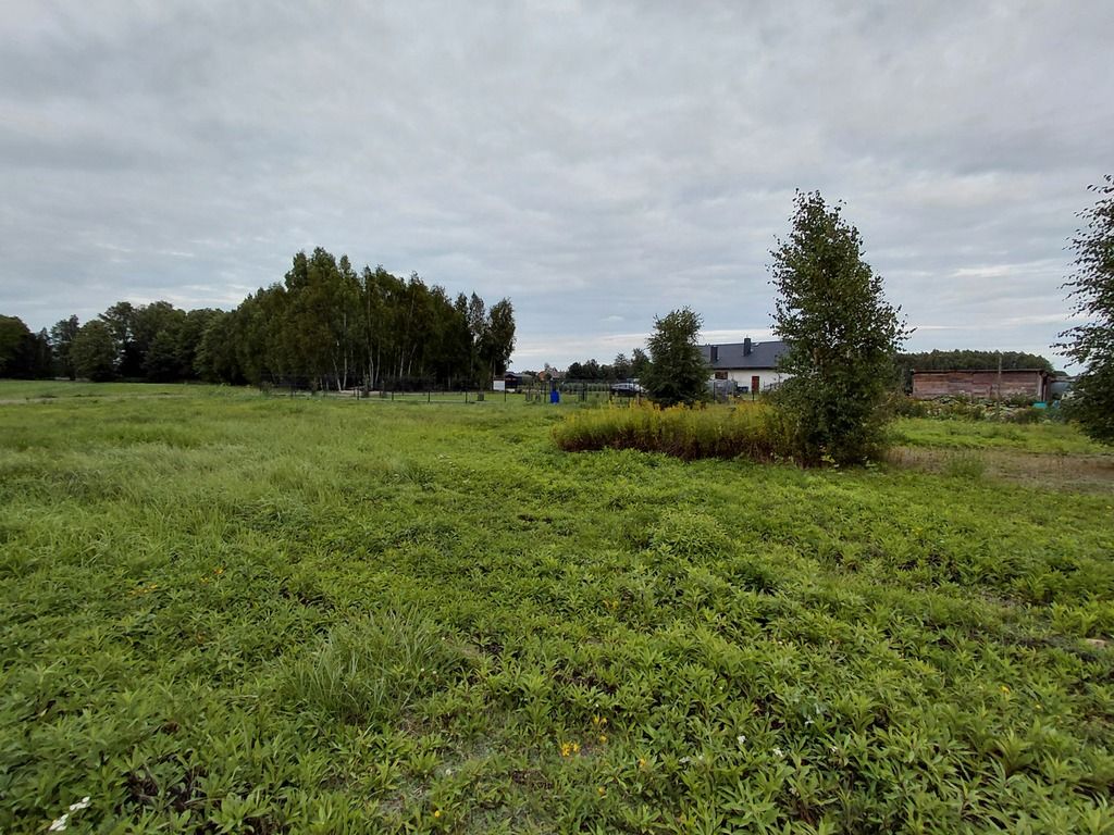 GORZANKA, GM. DĘBE WIELKIE - 3724 M2 Z WZ — zdjęcie 2