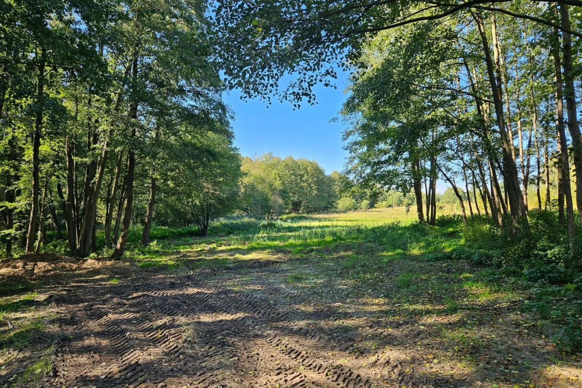 Działka budowlana 2494m2 z lasem nad rzeczką — zdjęcie 2