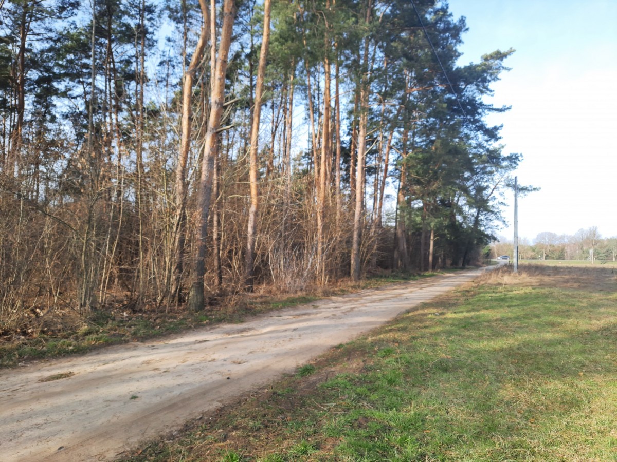 DZIAŁKA MIESZKANIOWO - USŁUGOWA — zdjęcie 2