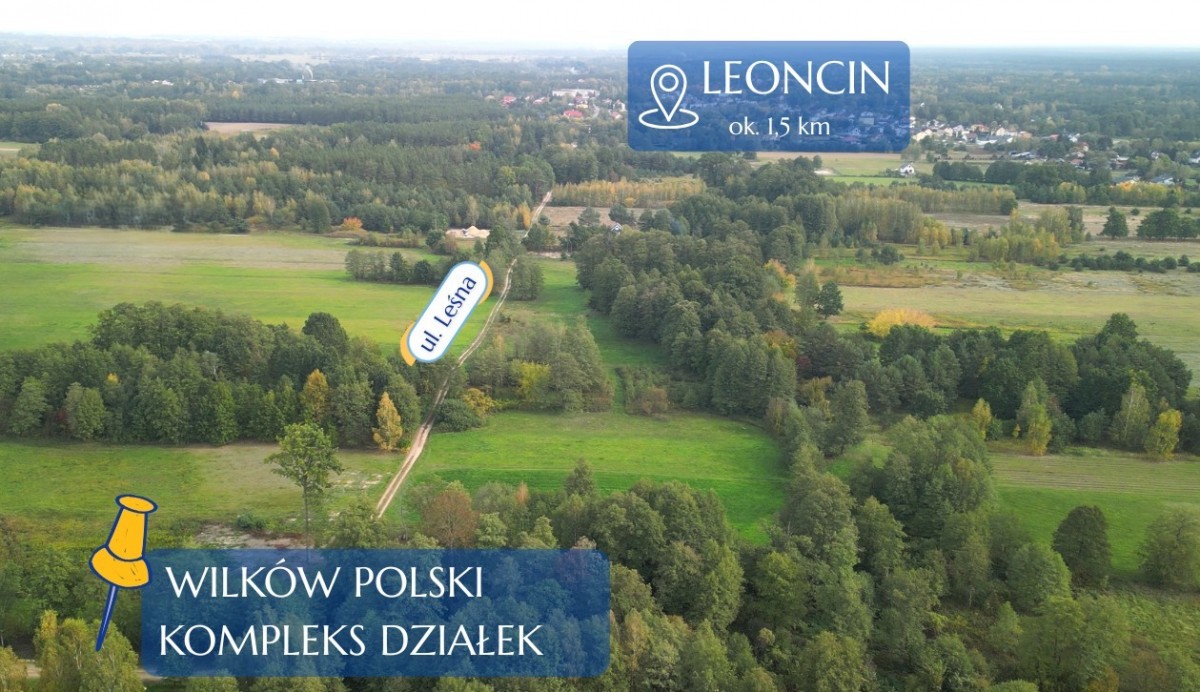 Działka budowlana 1350m2 Wilków Polski — zdjęcie 5
