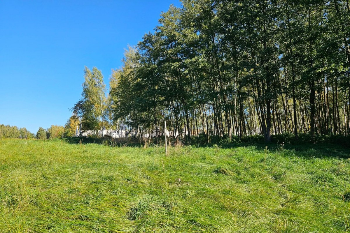 Działka budowlana 2292m2 z lasem nad rzeczką — zdjęcie 1