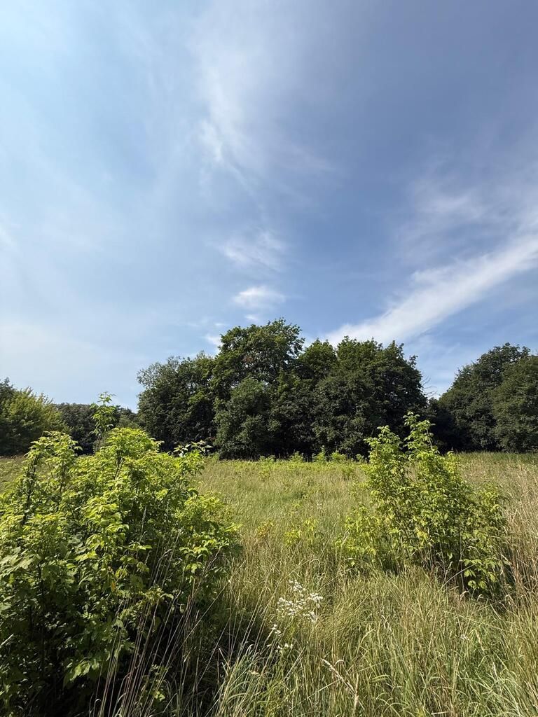 Działka 1,5ha potencjał inwestycyjny - Wawrzyszew — zdjęcie 2