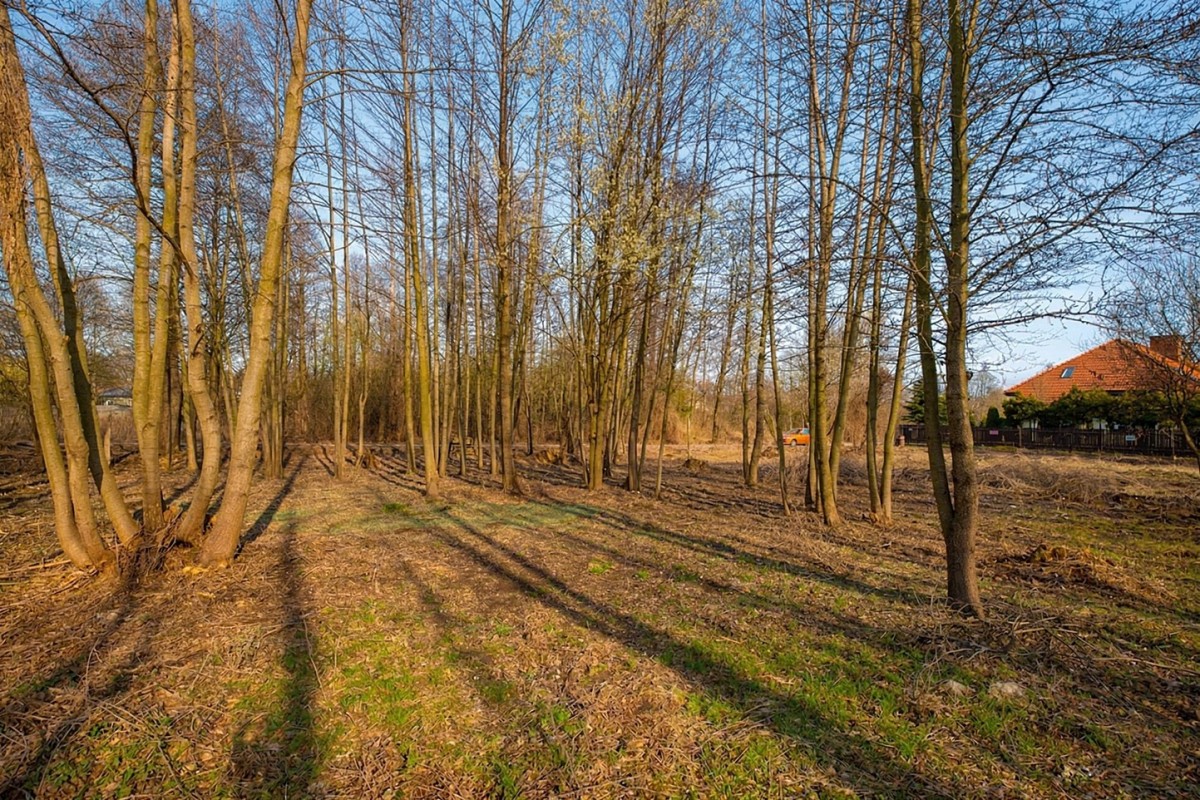 Działka budowlana 1100 m² – Warszawa Białołęka – W — zdjęcie 5