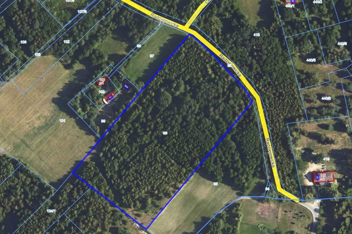 3,25ha wśród lasów, Budy Michałowskie — zdjęcie 4