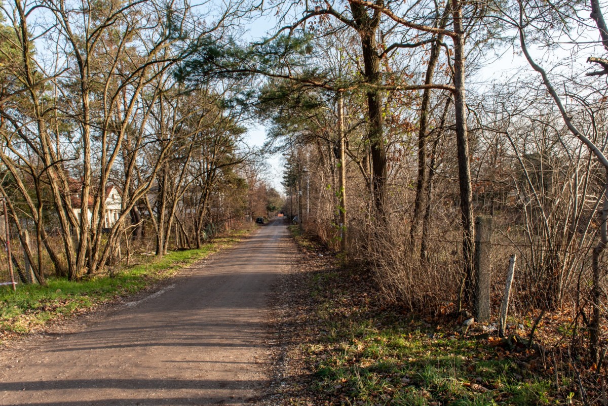 Działka z Warunkami Zabudowy na 4 domy — zdjęcie 4