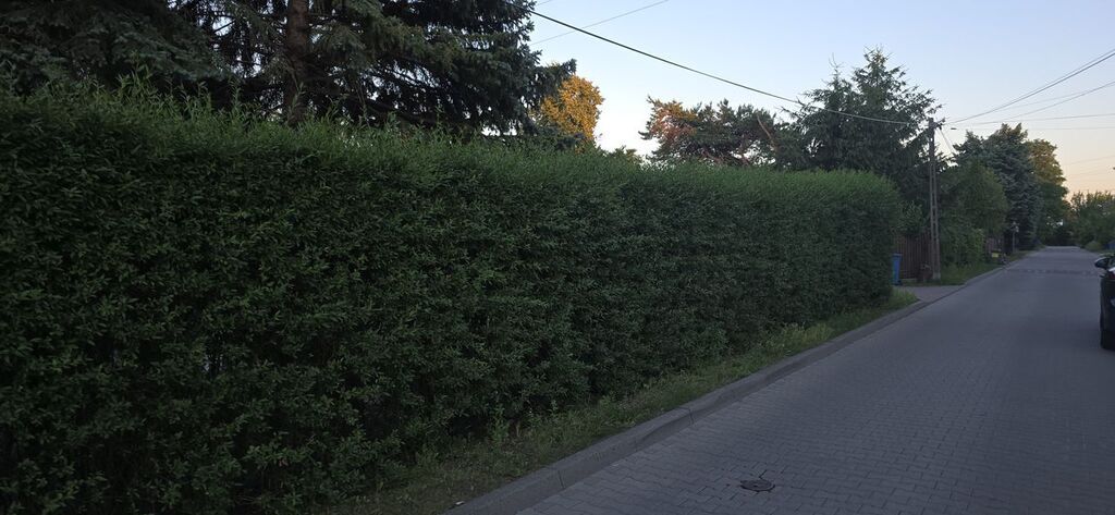 Działka pod zabudowę bliźniaczą i szeregową — zdjęcie 2