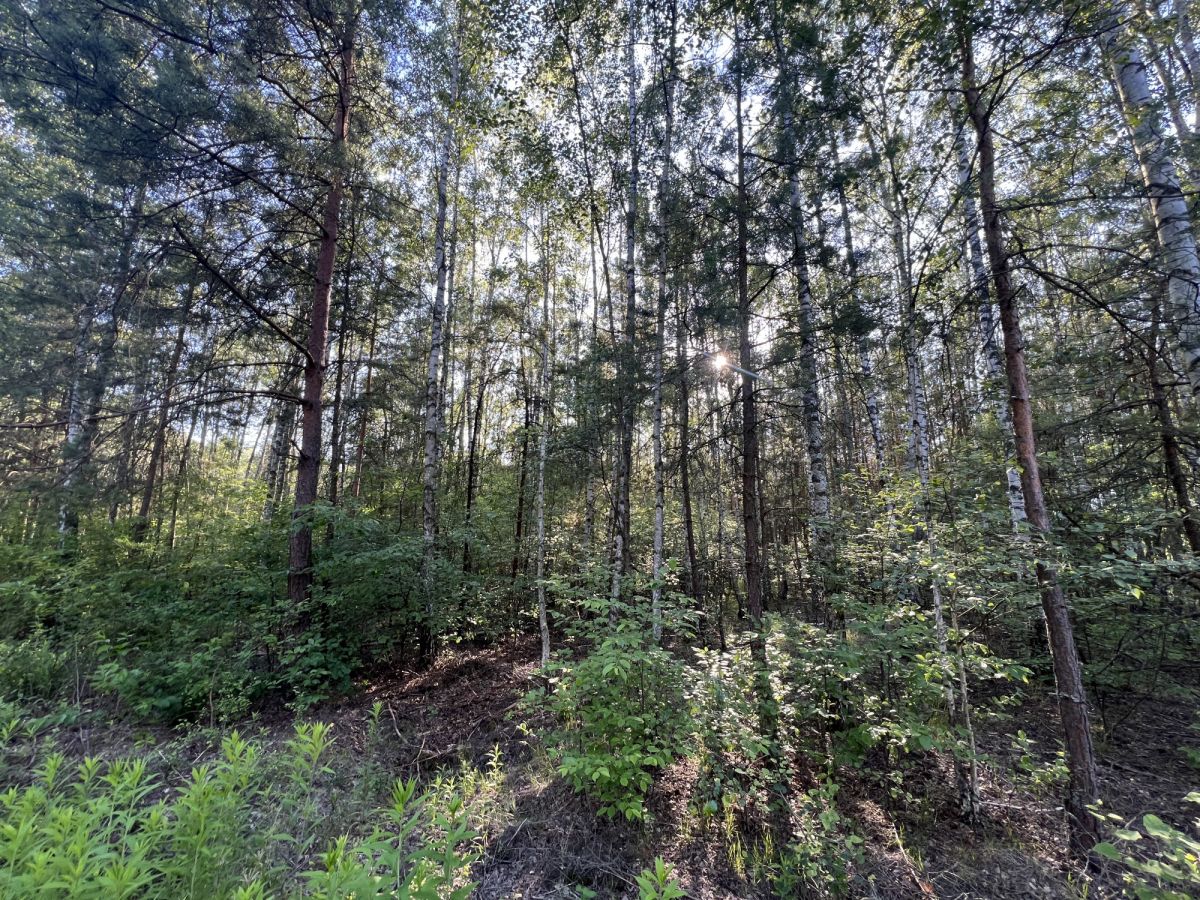 Duża działka budowlana 2768 m² | Trzciany | — zdjęcie 4
