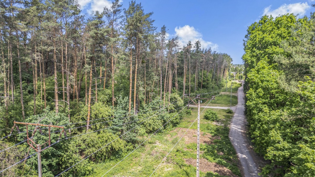 Blisko Magdalenki w środku lasu — zdjęcie 4