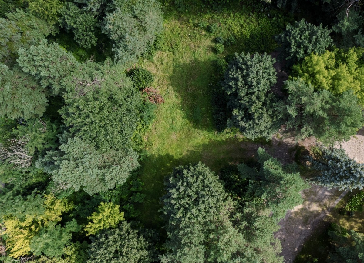 Działka budowlana 3286 m² | Konstancin-Jeziorna — zdjęcie 4