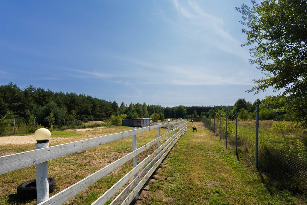Pikny parterowy dom, dziaka 10000m — zdjęcie 3
