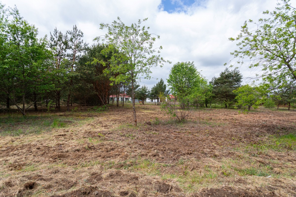Działka budowlana 3379 m² I Rajszew k. Warszawy — zdjęcie 5