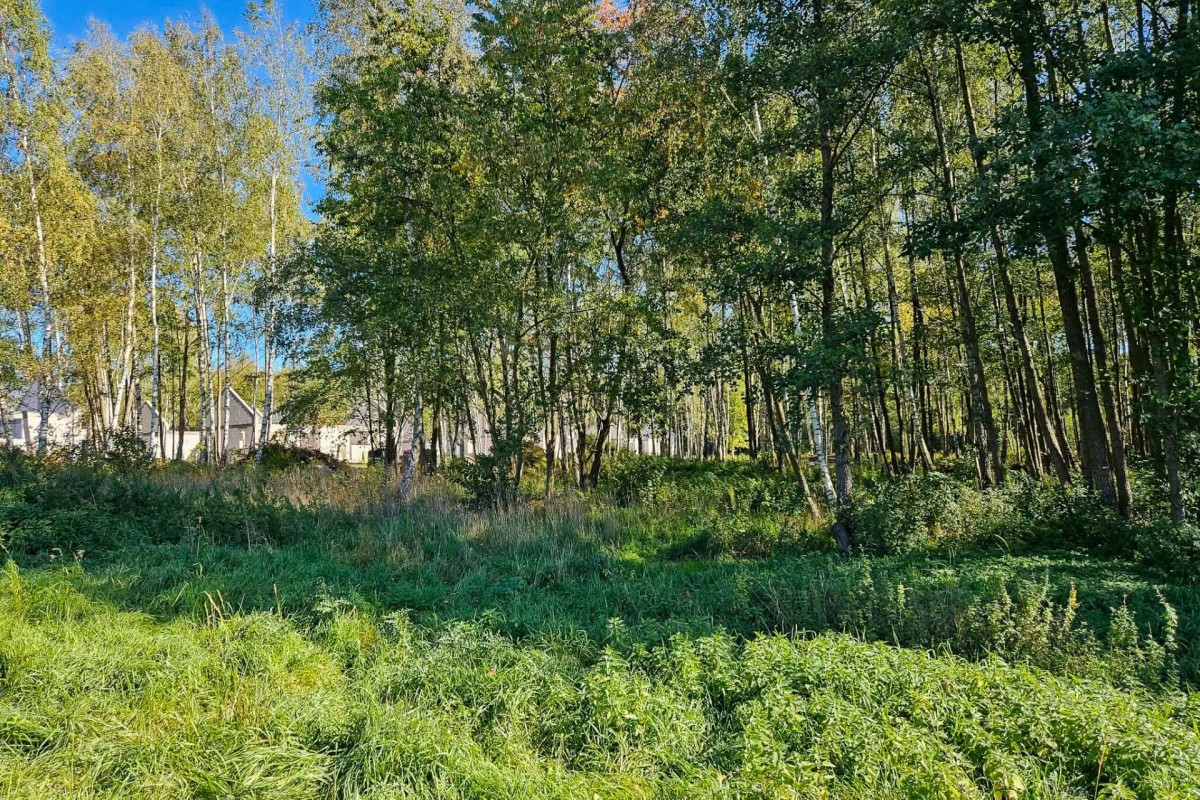 Działka budowlana 2494m2 z lasem nad rzeczką — zdjęcie 1