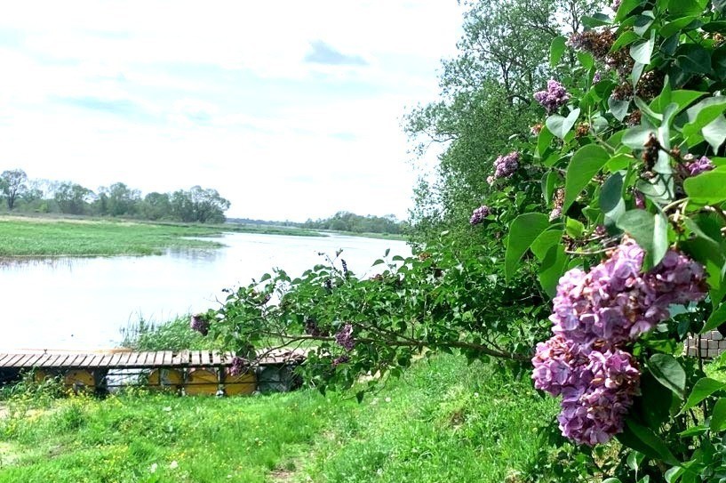 Zamieszkaj na wsi nad Bugiem niedaleko `Wawy — zdjęcie 2