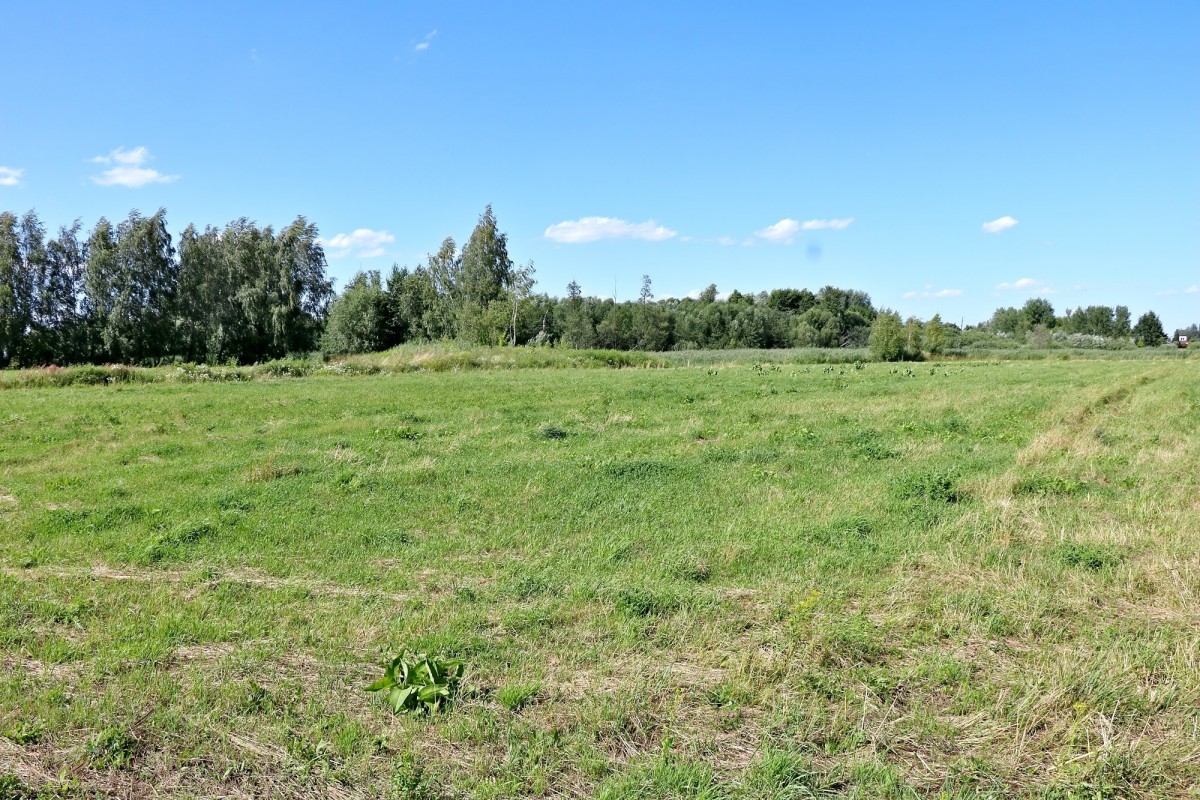 Działka budowlana 1,32 ha | Ursynów | WZ | Jezioro — zdjęcie 3