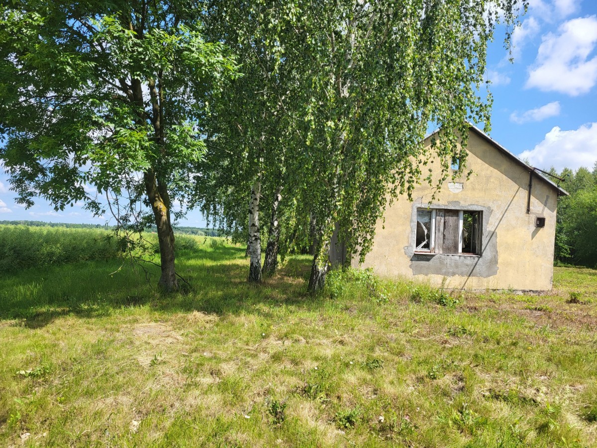 Działka 6400 m² sprzedaż Elżbietów, gmina Teresin — zdjęcie 5