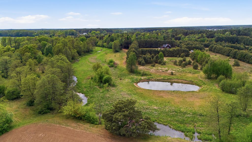 Działka ze stawem blisko Narwi – Małe Mazury — zdjęcie 2