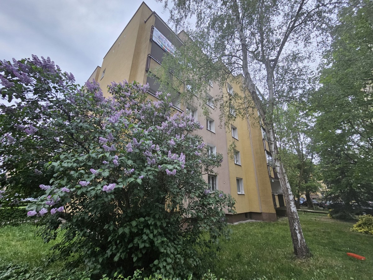 3 pokoje w zieleni | loggia | Bemowo | 68,9 m² — zdjęcie 1