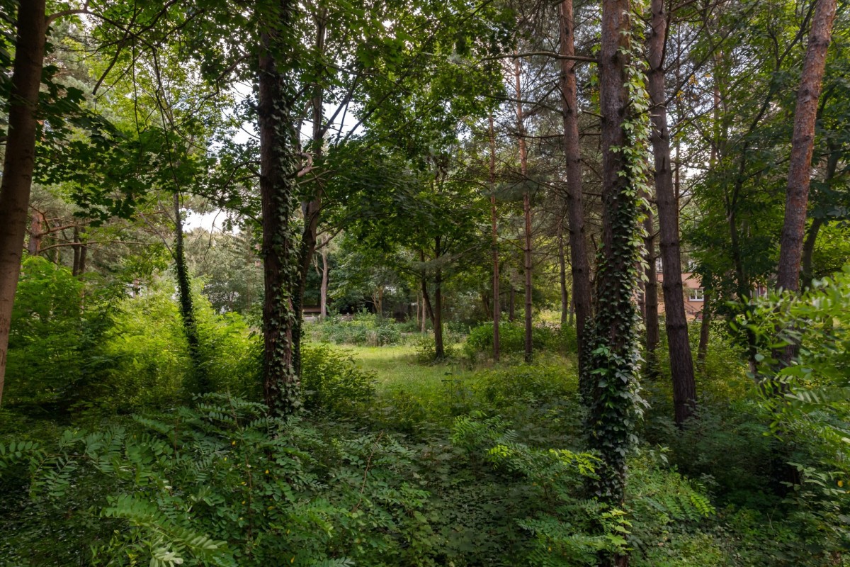 Działka budowlana 3286 m² | Konstancin-Jeziorna — zdjęcie 1