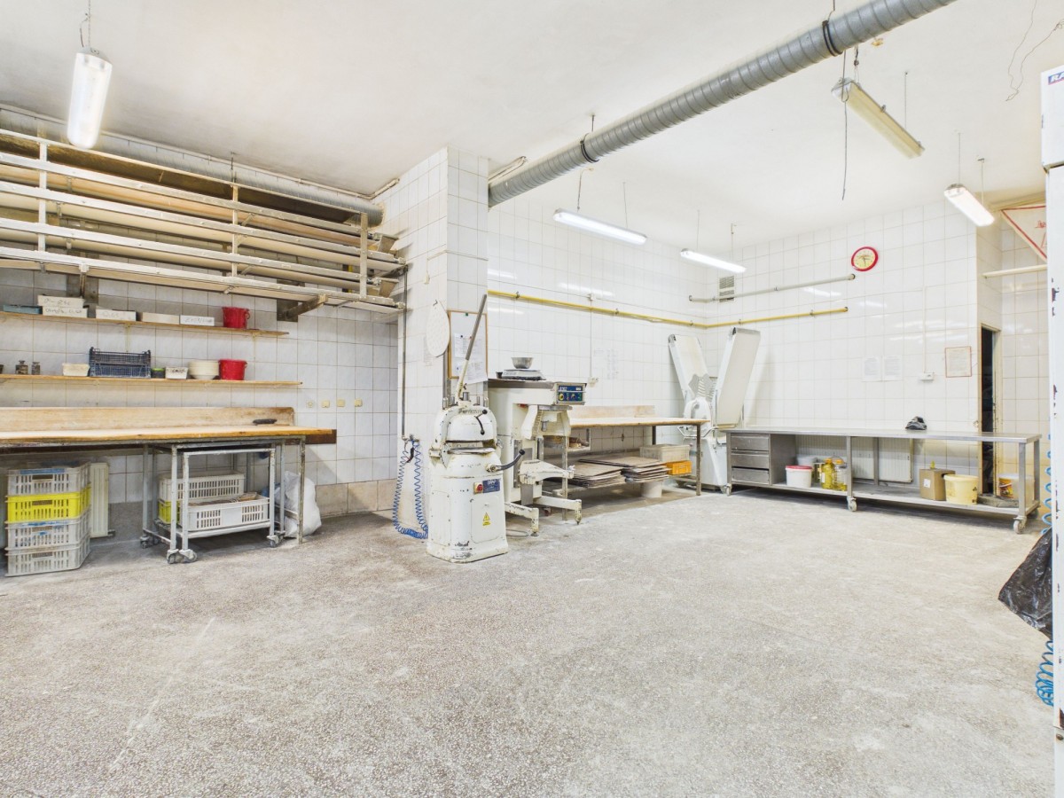 Halinów 890 m2 na sprzedaż Hala produkcyjna + Dom — zdjęcie 4