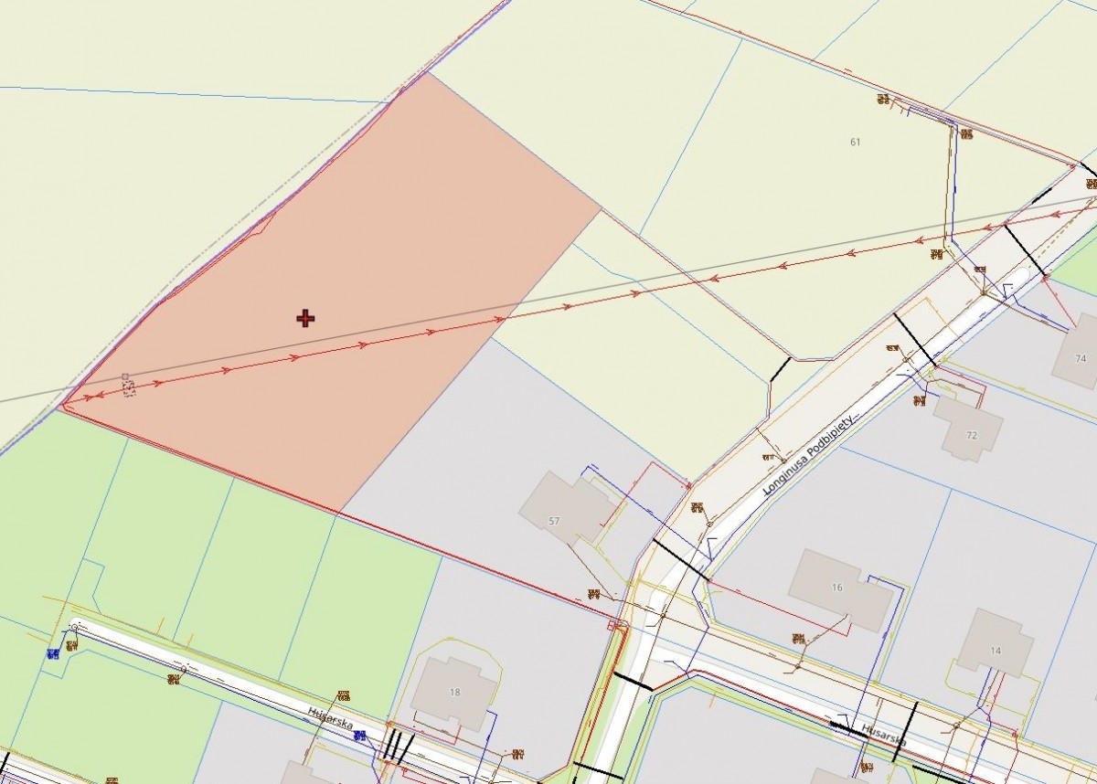 Prestiżowa działka 5306 m² 8 min od centrum Płocka — zdjęcie 3