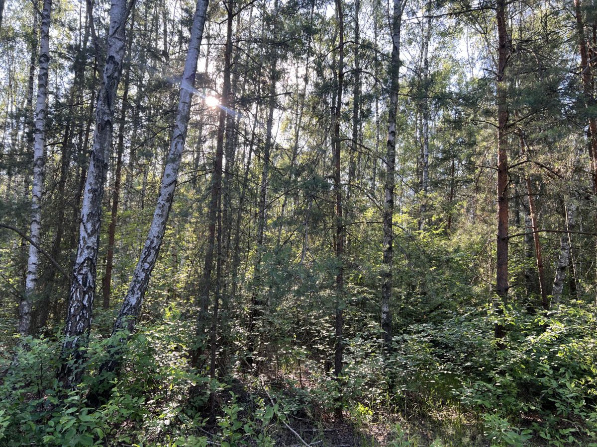 Duża działka budowlana 2768 m² | Trzciany | — zdjęcie 2