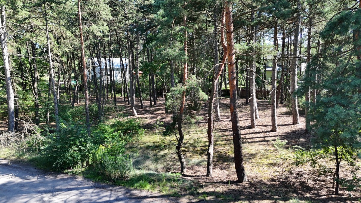 Działka budowlana | 350 m od rzeki Świder — zdjęcie 4