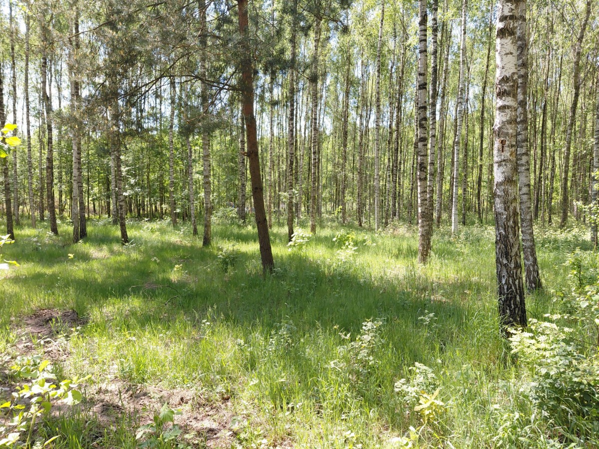 dwie sąsiadujące działki budowlane — zdjęcie 2