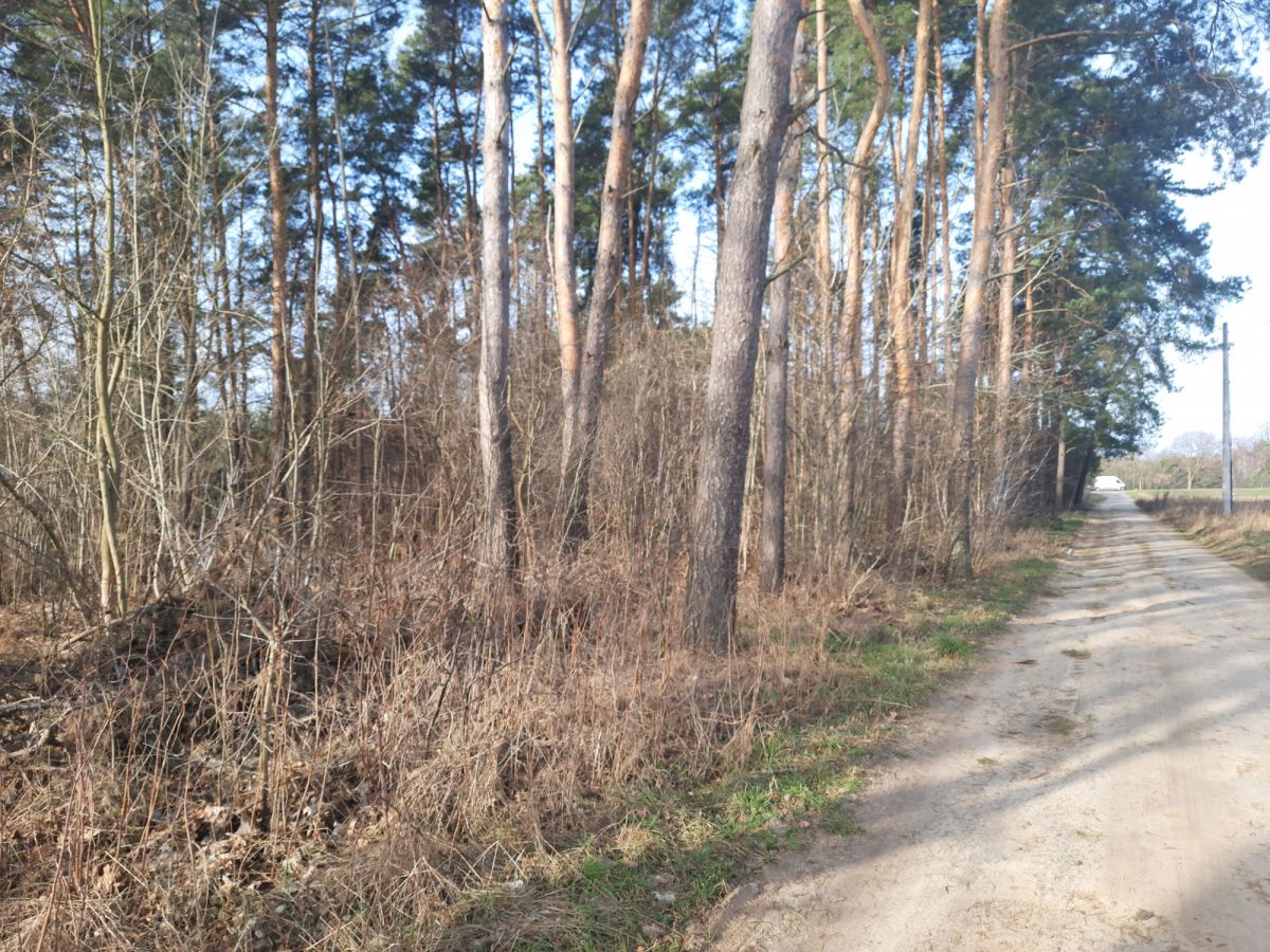 DZIAŁKA MIESZKANIOWO - USŁUGOWA — zdjęcie 4