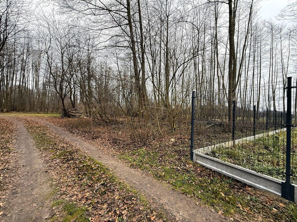 Działka na sprzedaż Mariew Stare Babice blisko las — zdjęcie 2