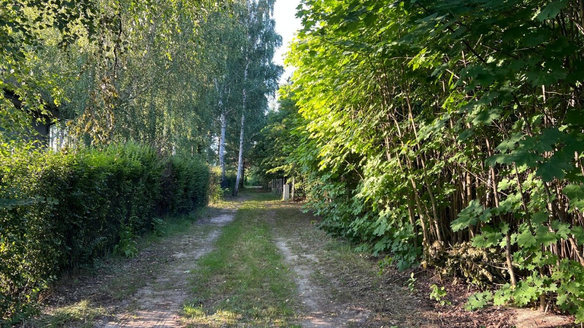 WYJĄTKOWA DZIAŁKA Z WZ 3204 m2 | GRABÓW NAD PILICĄ — zdjęcie 4