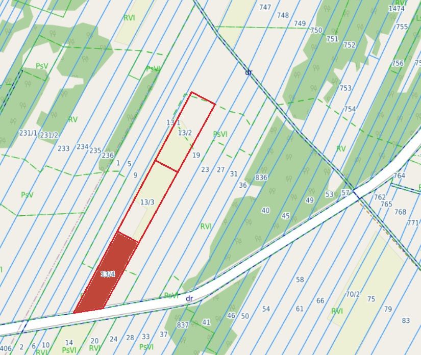 Działki - 3x3000m2 Wólka Dąbrowicka — zdjęcie 2