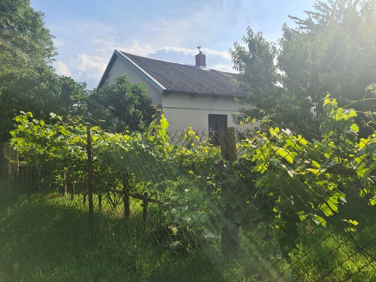 Dom 84m2 Czarzaste Błotki działka 6850m2 — zdjęcie 3