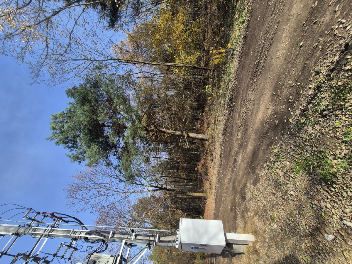 Działka (Pod zabudowę jednorodzinną) — Osowiec — zdjęcie 3