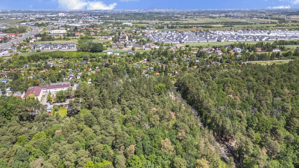 Blisko Magdalenki w środku lasu — zdjęcie 3