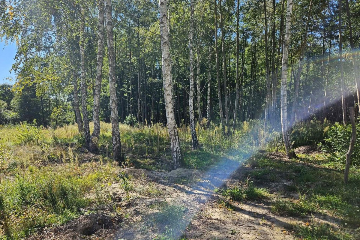 Działka budowlana 1931m2 z lasem nad rzeczką — zdjęcie 4