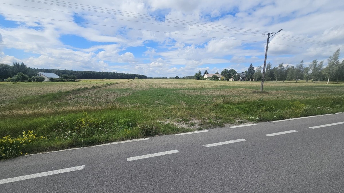 Działka (Rolna) — Swobodnia — zdjęcie 2