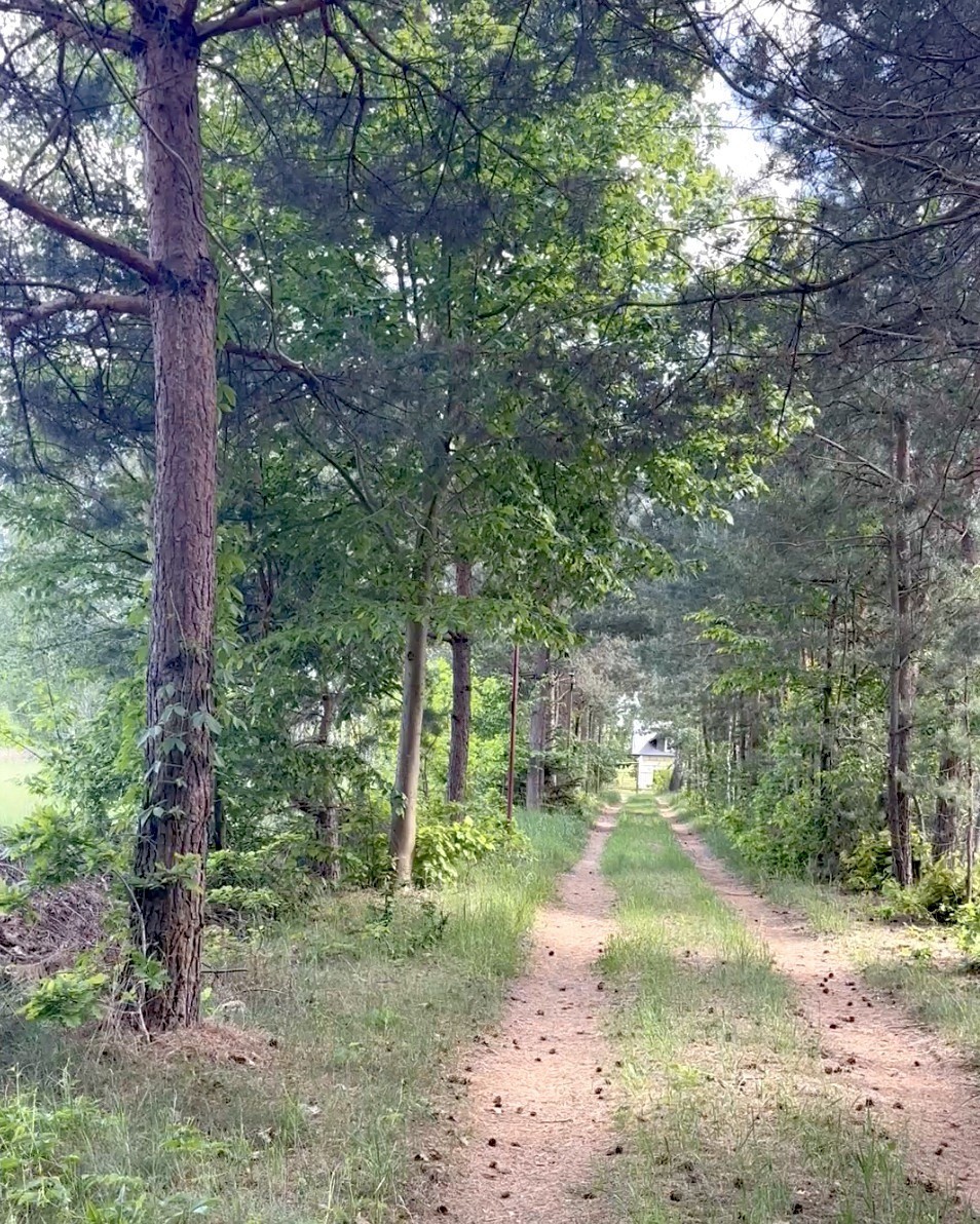 Działka MN, 2,5 ha/ możliwy podział — zdjęcie 1