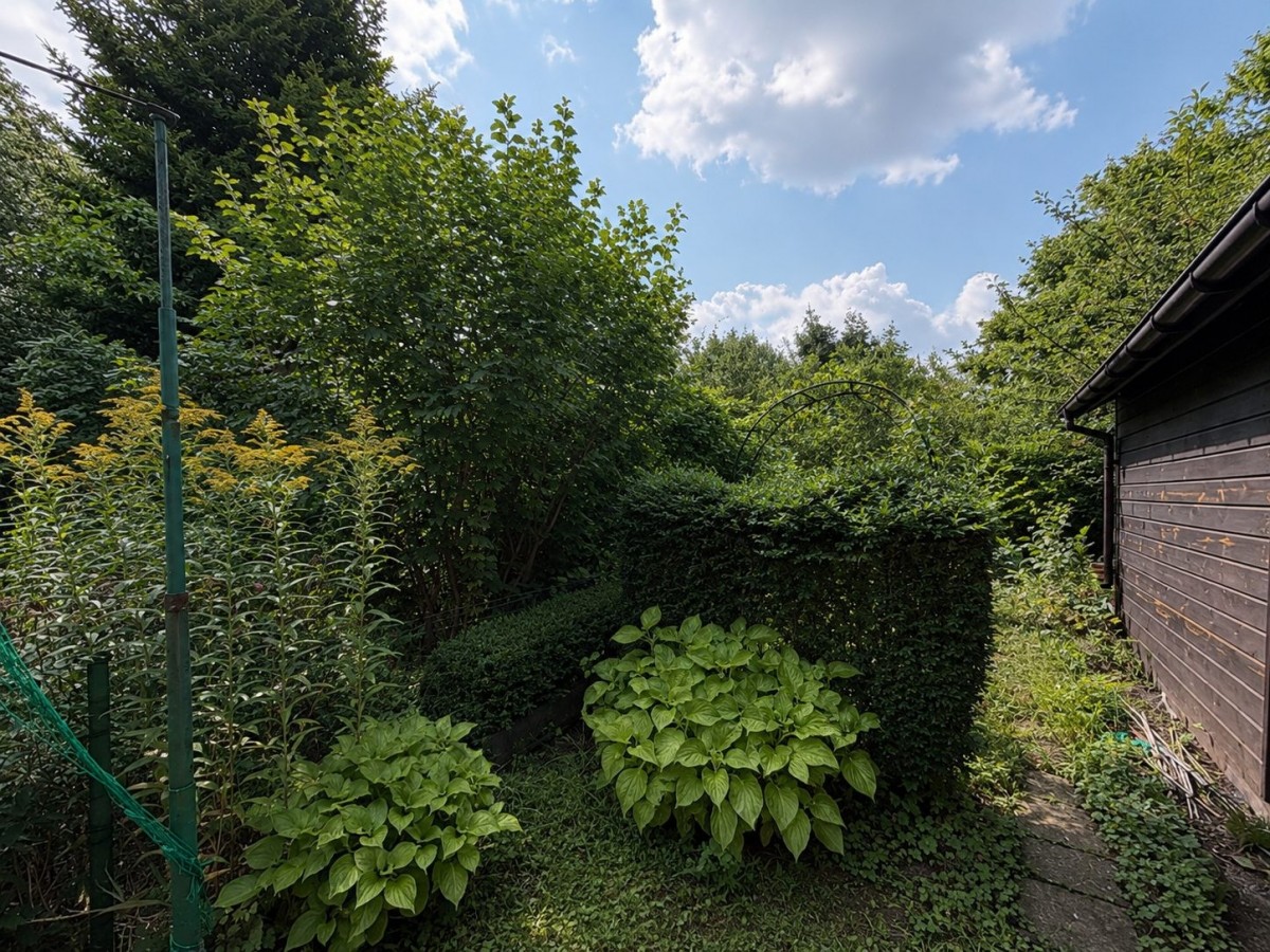 Działka ROD 301 m² pełna zieleni | Prąd i Woda — zdjęcie 4