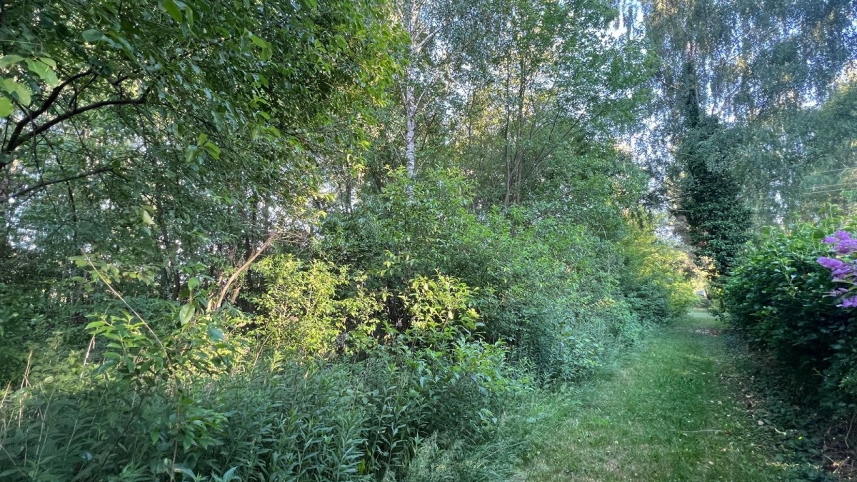 WYJĄTKOWA DZIAŁKA Z WZ 3204 m2 | GRABÓW NAD PILICĄ — zdjęcie 3