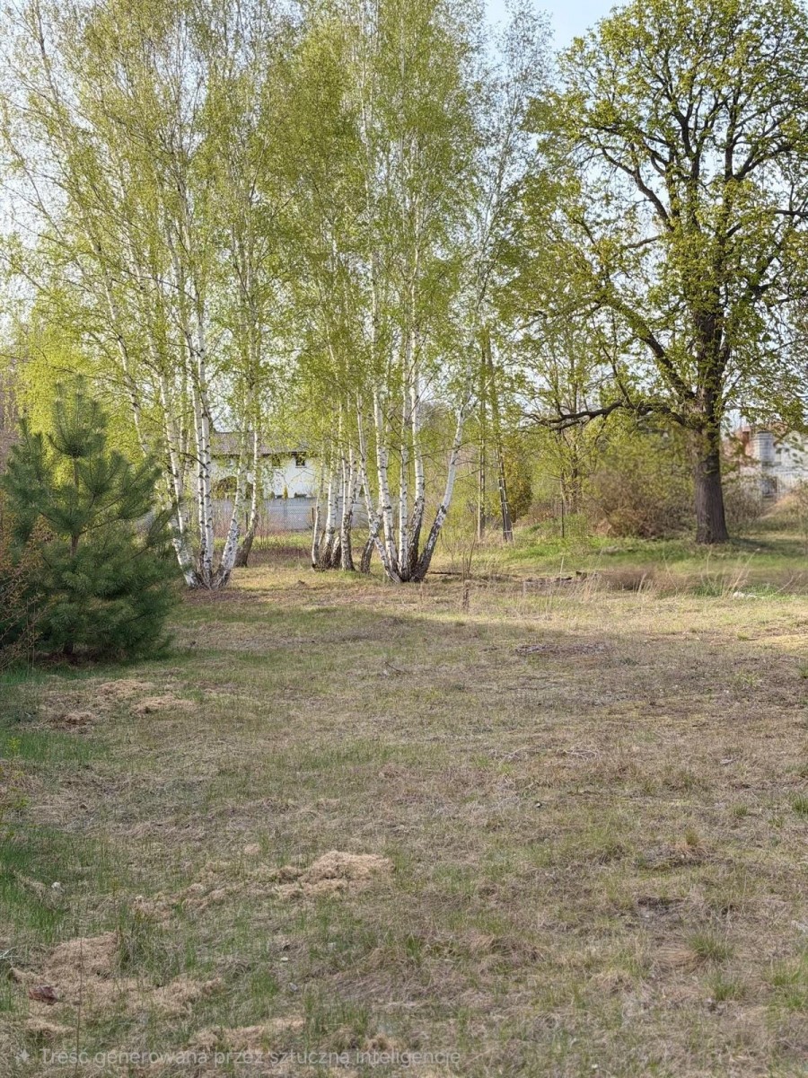 Otulina Kampinosu dobra komunikacja, infrastukturą — zdjęcie 5