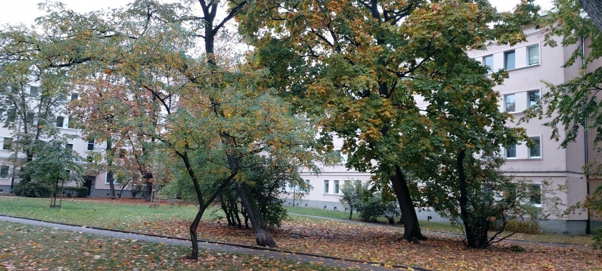 Rozkładowe, ciche  3 pokojowe przy Placu Hallera — zdjęcie 3