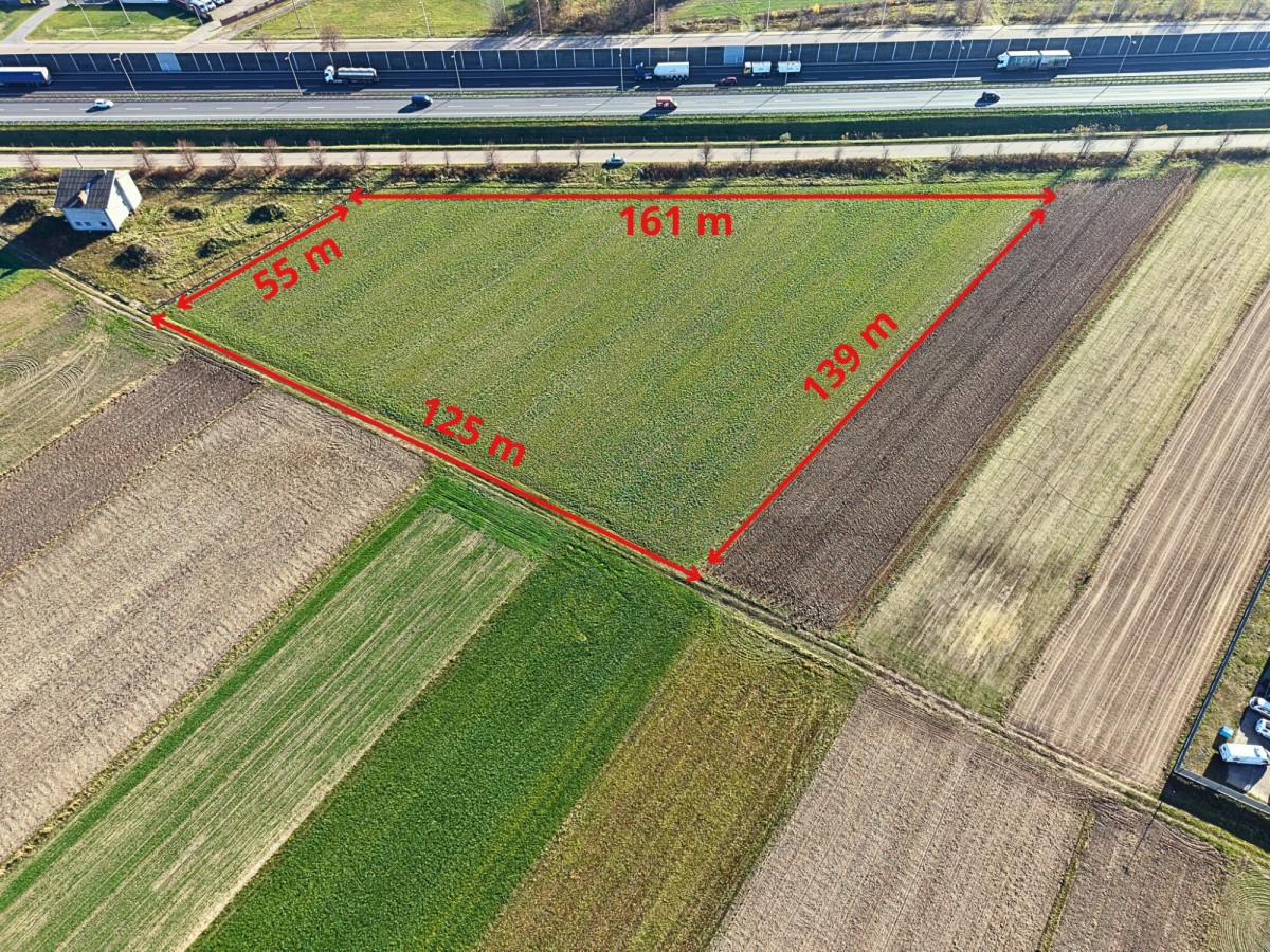 Działka (Usługowa) — Trojany — zdjęcie 5