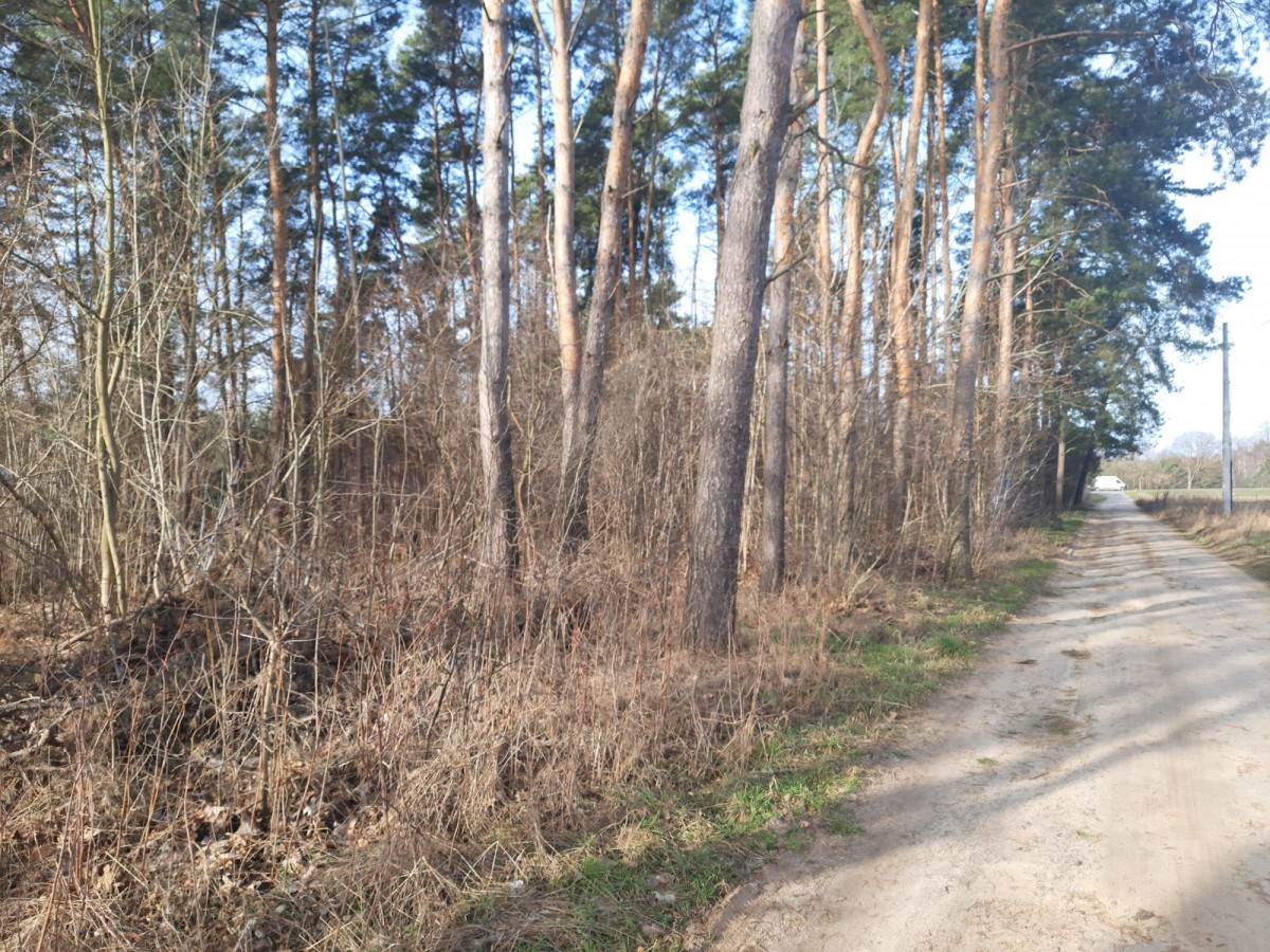 DZIAŁKA MIESZKANIOWO - USŁUGOWA — zdjęcie 4