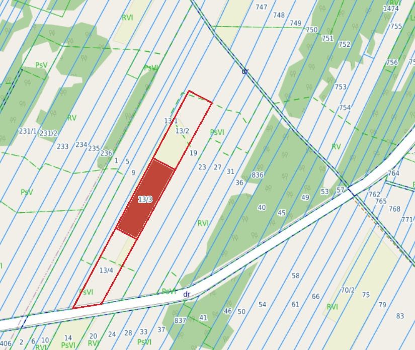 Działki - 3x3000m2 Wólka Dąbrowicka — zdjęcie 3