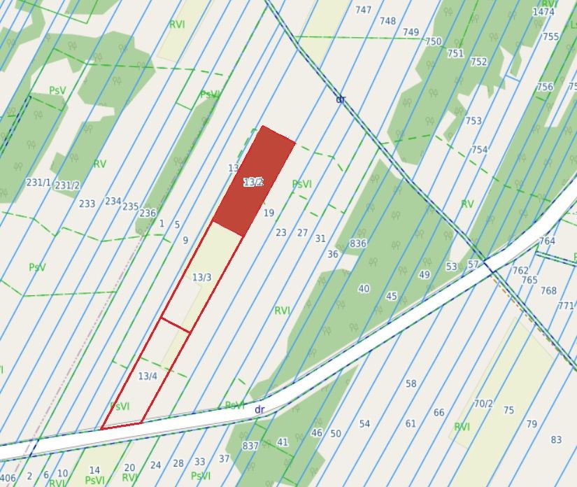 Działki - 3x3000m2 Wólka Dąbrowicka — zdjęcie 4