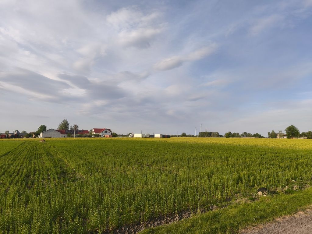Działka Wola Miedniewska 2999m2 z WZ - OKAZJA! — zdjęcie 1