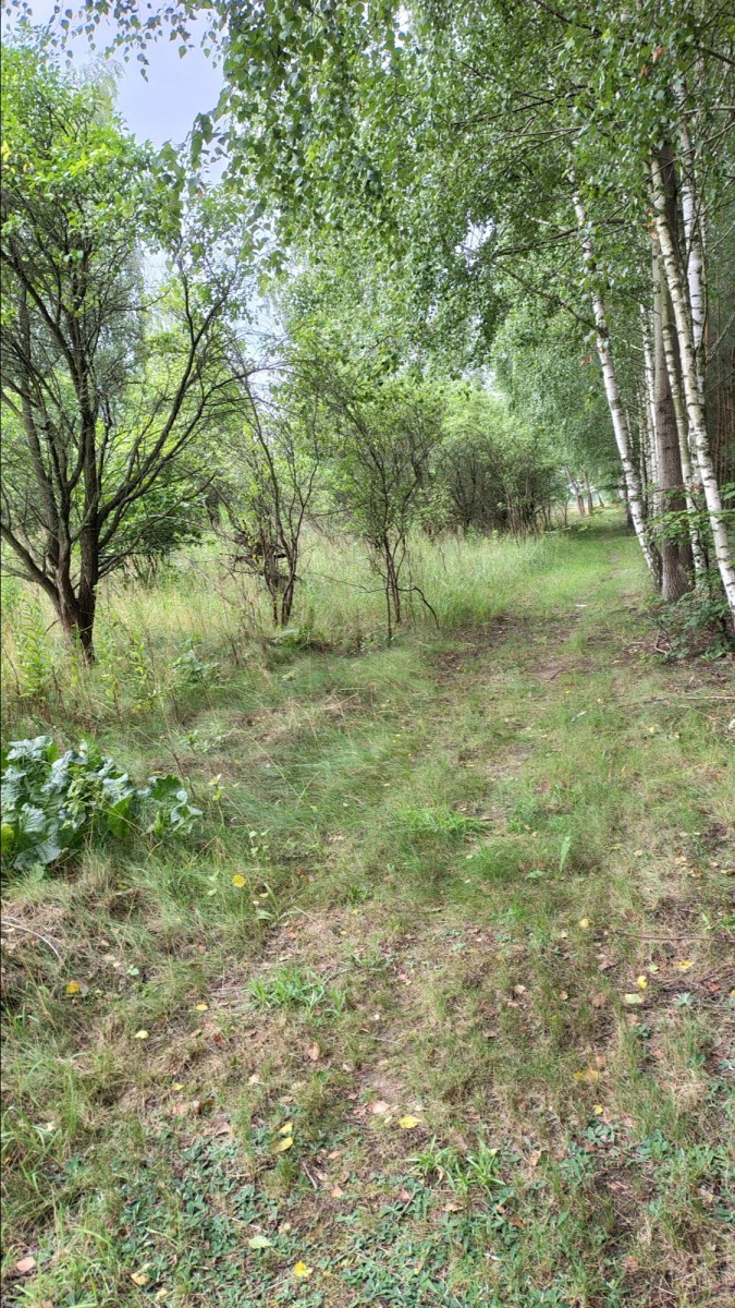 Okazja gm.Kampinos  3 działki budowlane — zdjęcie 2