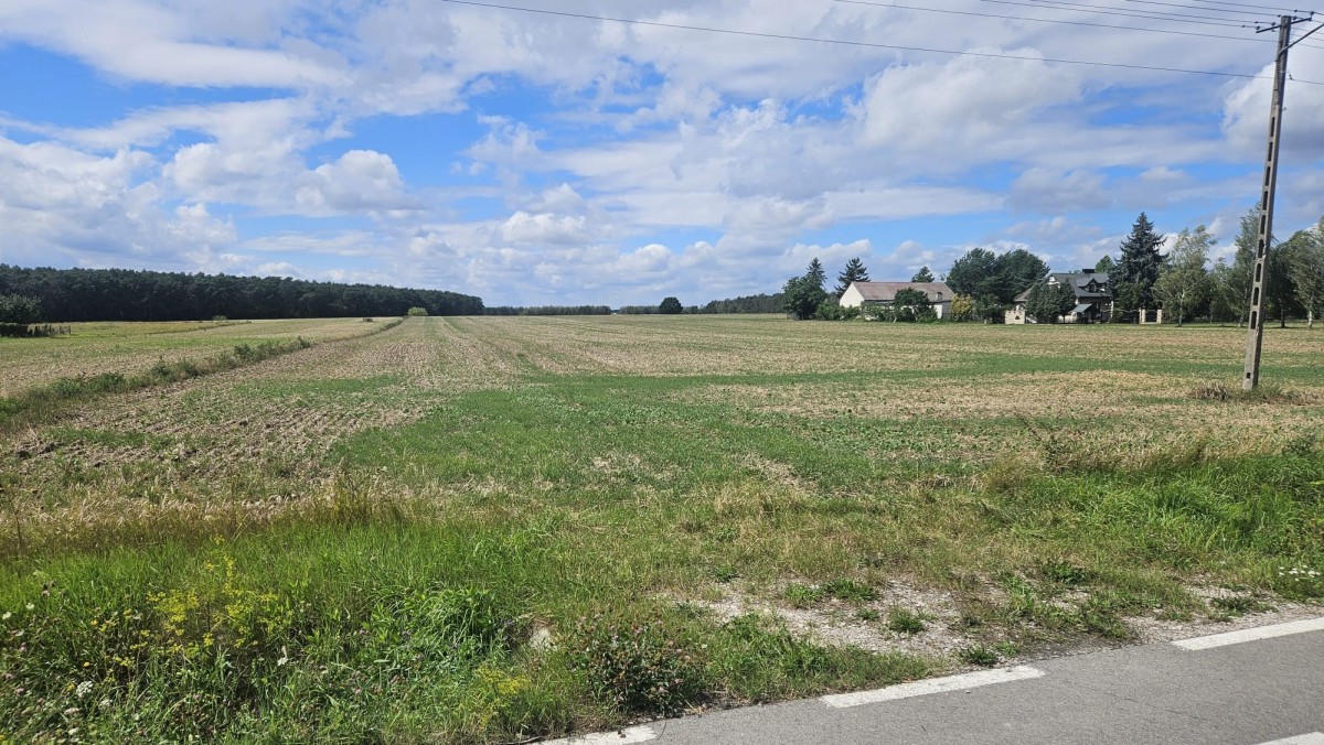 Działka (Rolna) — Swobodnia — zdjęcie 3